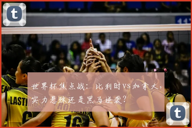 世界杯焦点战：比利时vs加拿大，实力悬殊还是黑马逆袭？
