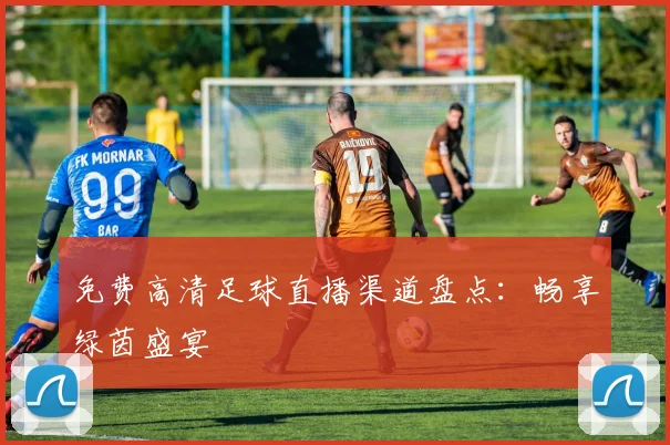 免费高清足球直播渠道盘点：畅享绿茵盛宴